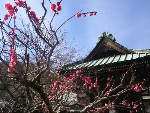 海蔵寺の庭園