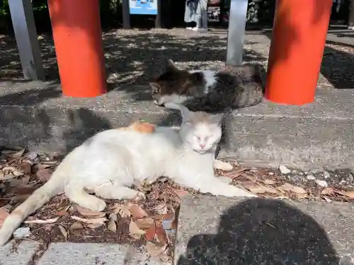 息栖神社(茨城県)