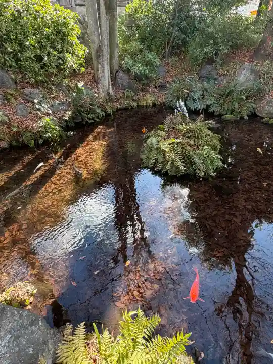 秩父今宮神社の{uncategorized: "未分類", other: "その他", undefined: "問題あり", building: "その他建物", grave: "お墓", sacred_gate: "鳥居", guardian: "狛犬", statue: "像", buddha: "仏像", history: "歴史", nature: "自然", garden: "庭園", animal: "動物", pagoda: "塔", temizu: "手水舎", mountain_gate: "山門・神門", sanctuary: "本殿・本堂", subordinate: "末社・摂社", art: "芸術", scenery: "景色", jizo: "地蔵", ema: "絵馬", goshuin: "御朱印", omikuji: "おみくじ", items: "授与品その他", amulet: "お守り", goshuincho: "御朱印帳", eats: "食事", festival: "お祭り", votive_dance: "神楽", shichigosan: "七五三参", wedding: "結婚式", experience: "体験その他", initially: "初詣", around: "周辺", anti_infection: "感染症対策"}