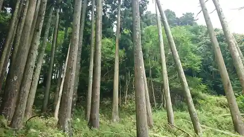 五十鈴神社の自然