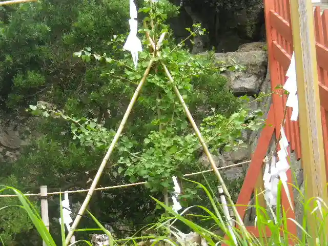 鶴岡八幡宮の自然