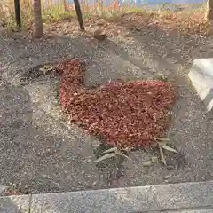 出雲大神宮の庭園