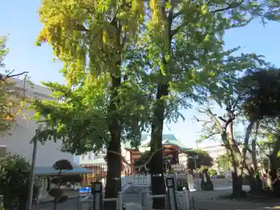 千住神社(東京都)