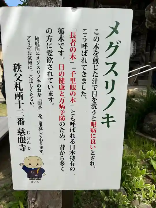 秩父札所十三番 慈眼寺の自然