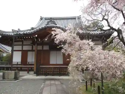 上品蓮台寺の本殿・本堂