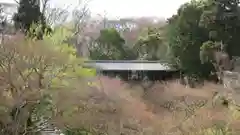 東福禅寺（東福寺）の本殿