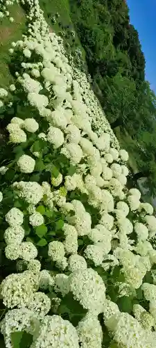 陽林寺の{uncategorized: "未分類", other: "その他", undefined: "問題あり", building: "その他建物", grave: "お墓", sacred_gate: "鳥居", guardian: "狛犬", statue: "像", buddha: "仏像", history: "歴史", nature: "自然", garden: "庭園", animal: "動物", pagoda: "塔", temizu: "手水舎", mountain_gate: "山門・神門", sanctuary: "本殿・本堂", subordinate: "末社・摂社", art: "芸術", scenery: "景色", jizo: "地蔵", ema: "絵馬", goshuin: "御朱印", omikuji: "おみくじ", items: "授与品その他", amulet: "お守り", goshuincho: "御朱印帳", eats: "食事", festival: "お祭り", votive_dance: "神楽", shichigosan: "七五三参", wedding: "結婚式", experience: "体験その他", initially: "初詣", around: "周辺", anti_infection: "感染症対策"}