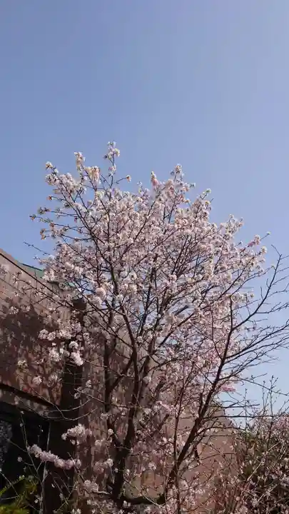 相馬神社の自然