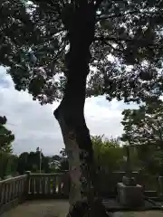 高家神社の景色