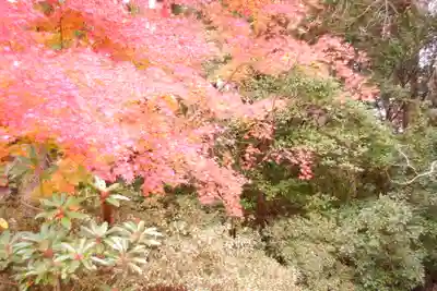 越中一宮 髙瀬神社(富山県)