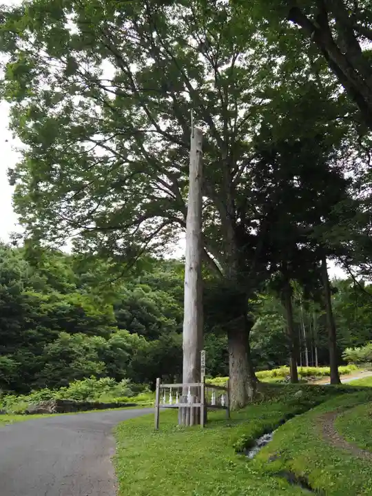 諏訪大社上社前宮の自然