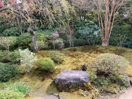 海蔵寺の庭園