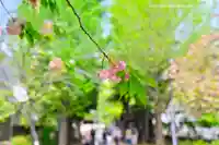 亀戸 香取神社(東京都)