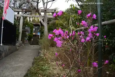 横浜御嶽神社(神奈川県)