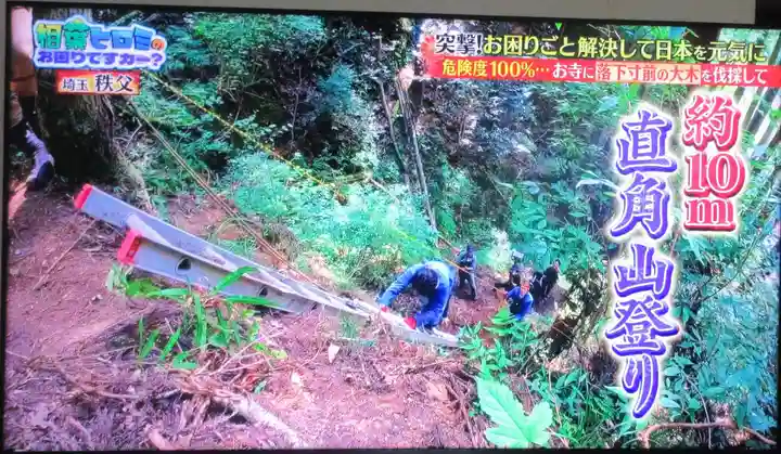 観音院(埼玉県)