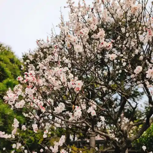 藥王寺(東京都)