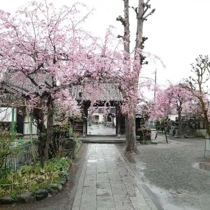 大蔵院のその他建物