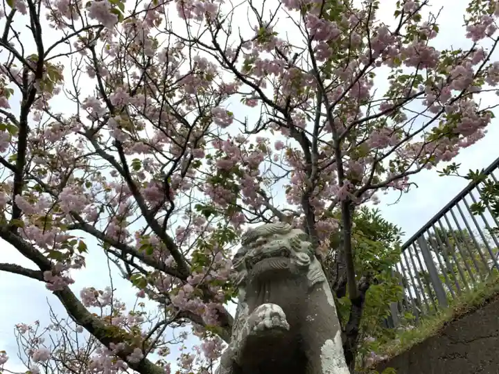 大萩神社の自然