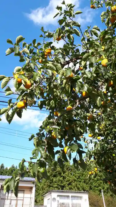 秋保神社の自然