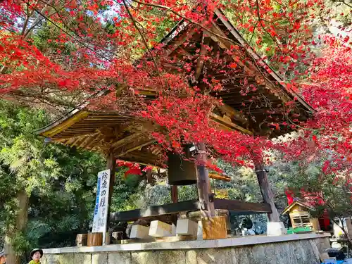 大山寺(神奈川県)
