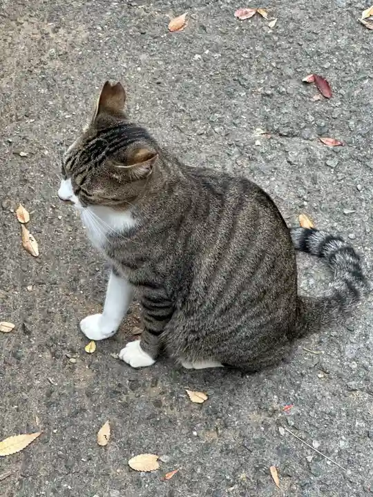 王子神社(徳島県)
