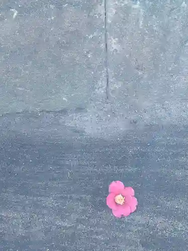 酒列磯前神社の自然