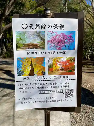 天翁院のその他建物