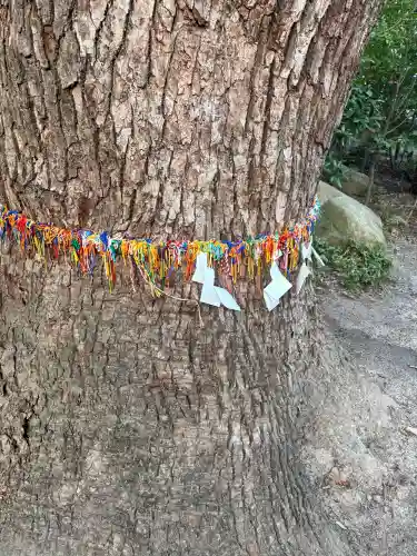 鳥飼八幡宮の{uncategorized: "未分類", other: "その他", undefined: "問題あり", building: "その他建物", grave: "お墓", sacred_gate: "鳥居", guardian: "狛犬", statue: "像", buddha: "仏像", history: "歴史", nature: "自然", garden: "庭園", animal: "動物", pagoda: "塔", temizu: "手水舎", mountain_gate: "山門・神門", sanctuary: "本殿・本堂", subordinate: "末社・摂社", art: "芸術", scenery: "景色", jizo: "地蔵", ema: "絵馬", goshuin: "御朱印", omikuji: "おみくじ", items: "授与品その他", amulet: "お守り", goshuincho: "御朱印帳", eats: "食事", festival: "お祭り", votive_dance: "神楽", shichigosan: "七五三参", wedding: "結婚式", experience: "体験その他", initially: "初詣", around: "周辺", anti_infection: "感染症対策"}