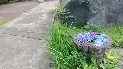 光厳寺の手水舎