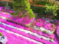 寿量山 速成寺(奈良県)