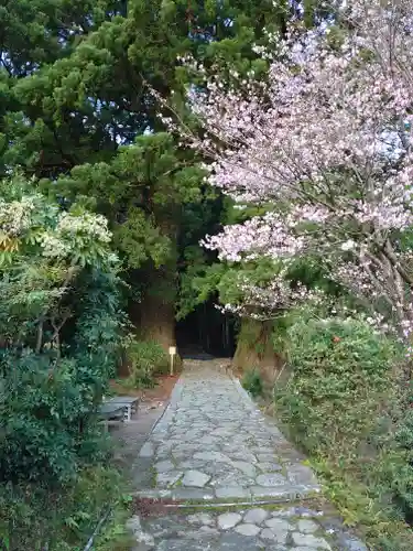 熊野那智大社の周辺