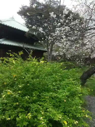 英勝寺(神奈川県)