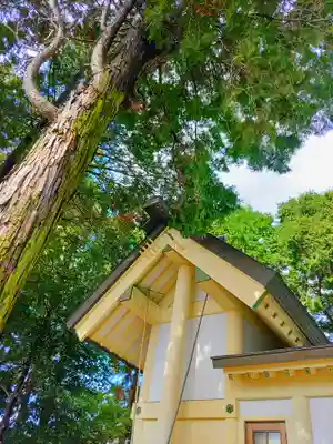 六所社（郷中）の本殿・本堂