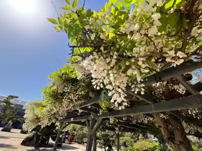 誉田八幡宮(大阪府)