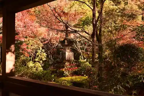 西明寺(京都府)