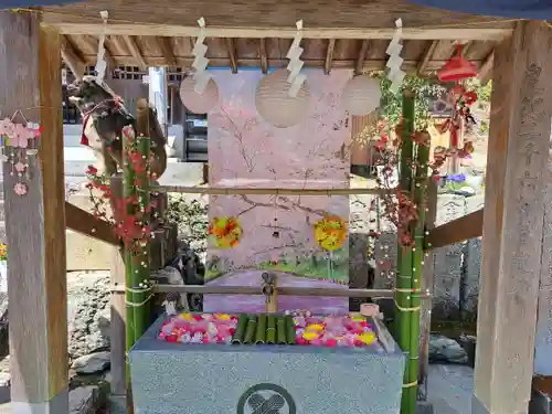 小倉八幡神社(徳島県)