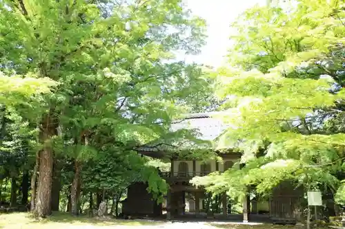 高源寺の山門