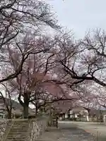 妙了寺(山梨県)