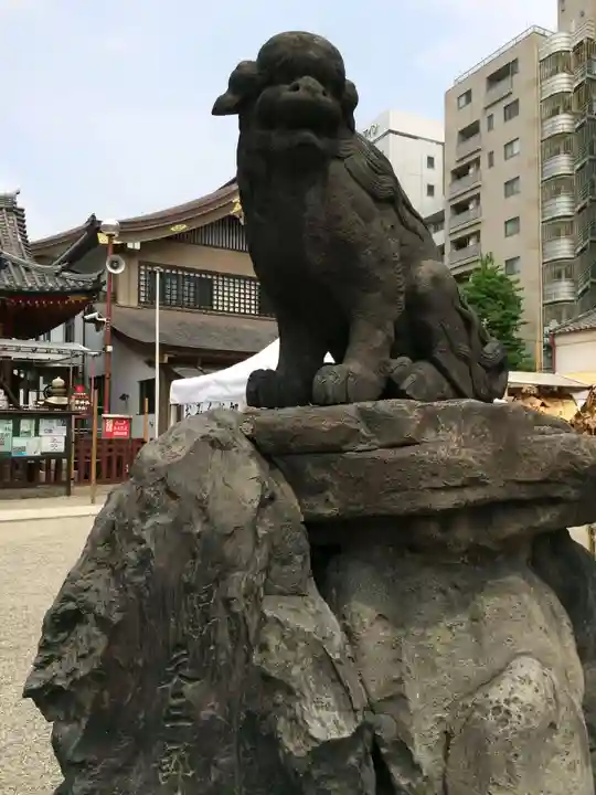 浅草神社の狛犬