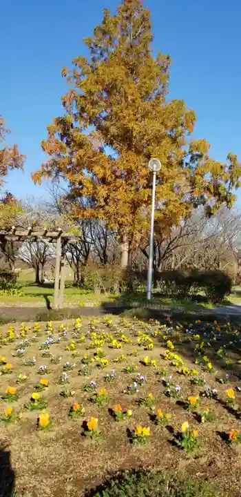 大下稲荷神社の自然