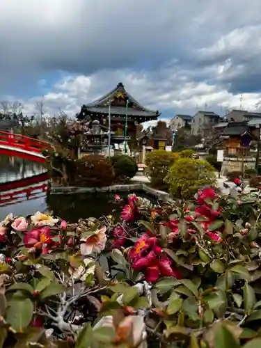 神泉苑(京都府)