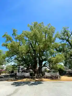 諫早神社(九州総守護 四面宮)(長崎県)