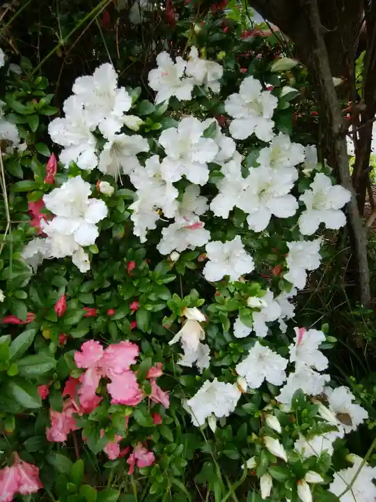 有珠善光寺(北海道)