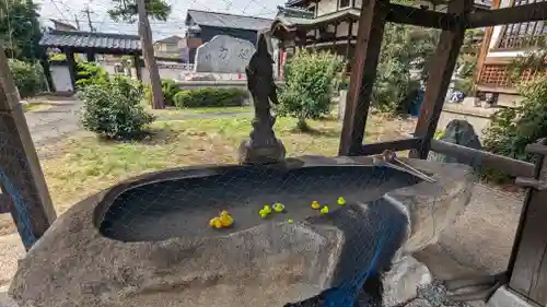 誕生寺(京都府)