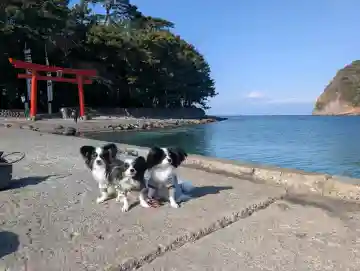 諸口神社の{uncategorized: "未分類", other: "その他", undefined: "問題あり", building: "その他建物", grave: "お墓", sacred_gate: "鳥居", guardian: "狛犬", statue: "像", buddha: "仏像", history: "歴史", nature: "自然", garden: "庭園", animal: "動物", pagoda: "塔", temizu: "手水舎", mountain_gate: "山門・神門", sanctuary: "本殿・本堂", subordinate: "末社・摂社", art: "芸術", scenery: "景色", jizo: "地蔵", ema: "絵馬", goshuin: "御朱印", omikuji: "おみくじ", items: "授与品その他", amulet: "お守り", goshuincho: "御朱印帳", eats: "食事", festival: "お祭り", votive_dance: "神楽", shichigosan: "七五三参", wedding: "結婚式", experience: "体験その他", initially: "初詣", around: "周辺", anti_infection: "感染症対策"}