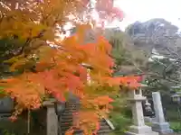 長勝寺の自然