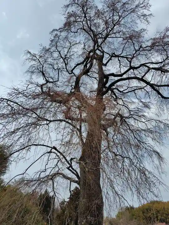 龍光寺(福島県)