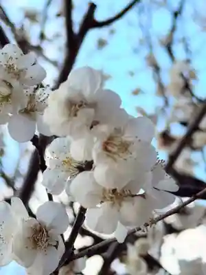 北野八幡神社(東京都)