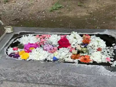 千代ケ岡八幡宮(栃木県)