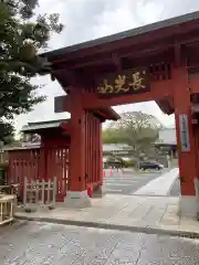 妙蓮寺の山門